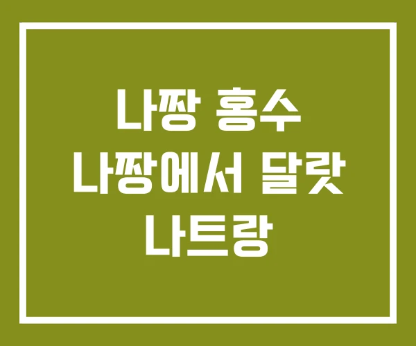 나짱 홍수 나짱에서 달랏 나트랑