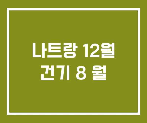 나트랑 12월 건기 8 월