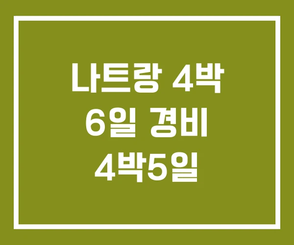 나트랑 4박 6일 경비 4박5일