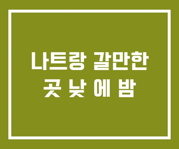 나트랑 갈만한 곳 낮 에 밤
