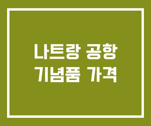 나트랑 공항 기념품 가격
