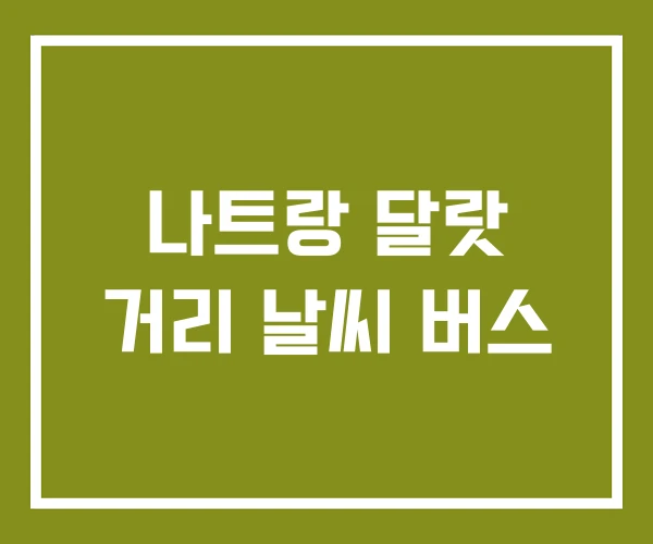 나트랑 달랏 거리 날씨 버스