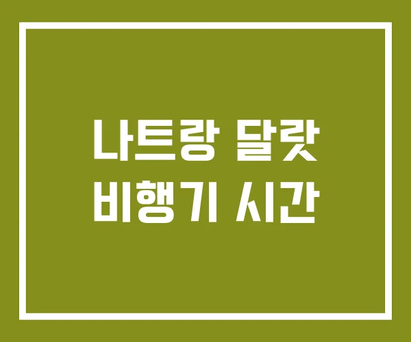 나트랑 달랏 비행기 시간