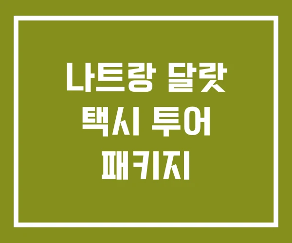 나트랑 달랏 택시 투어 패키지