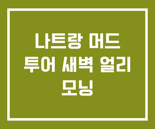 나트랑 머드 투어 새벽 얼리 모닝