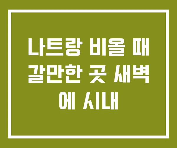 나트랑 비올 때 갈만한 곳 새벽 에 시내