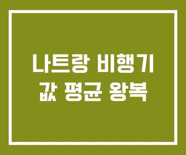 나트랑 비행기 값 평균 왕복