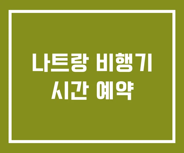 나트랑 비행기 시간 예약