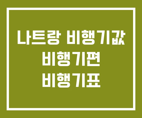 나트랑 비행기값 비행기편 비행기표