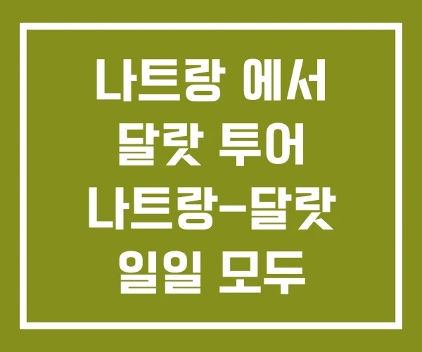 나트랑 에서 달랏 투어 나트랑-달랏 일일 모두