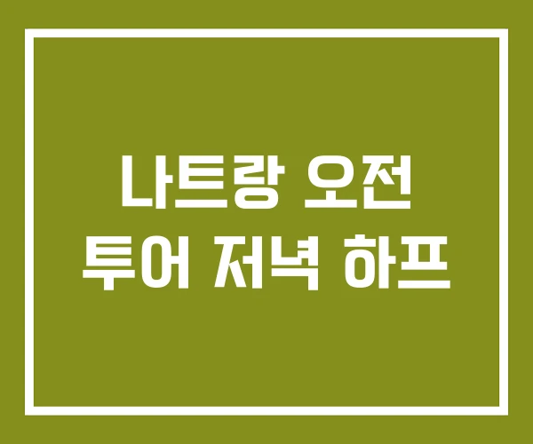 나트랑 오전 투어 저녁 하프