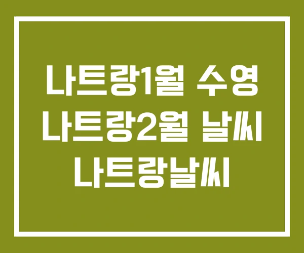 나트랑1월 수영 나트랑2월 날씨 나트랑날씨