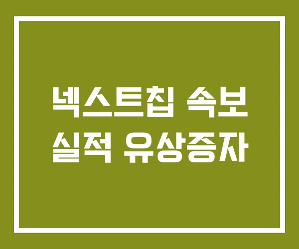 넥스트칩 속보 실적 유상증자