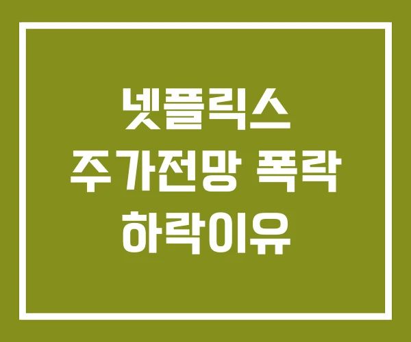 넷플릭스 주가전망 폭락 하락이유