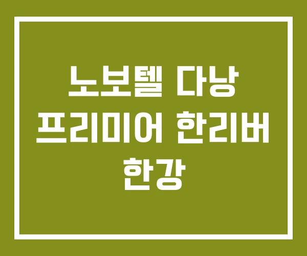 노보텔 다낭 프리미어 한리버 한강