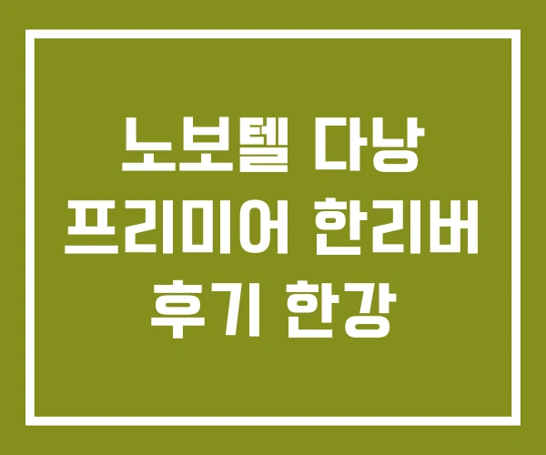 노보텔 다낭 프리미어 한리버 후기 한강