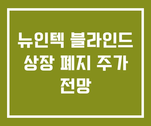 뉴인텍 블라인드 상장 폐지 주가 전망