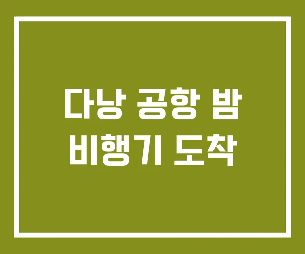 다낭 공항 밤 비행기 도착