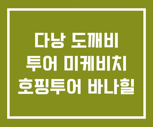 다낭 도깨비 투어 미케비치 호핑투어 바나힐