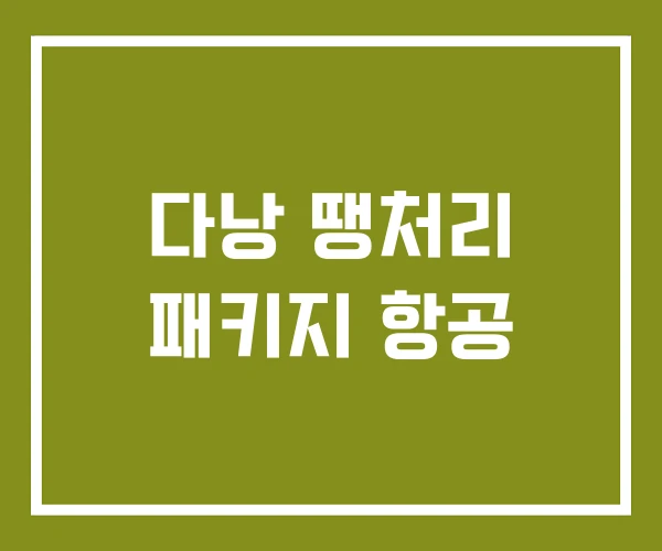 다낭 땡처리 패키지 항공