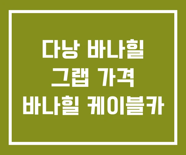 다낭 바나힐 그랩 가격 바나힐 케이블카