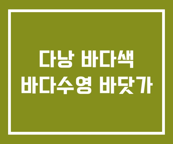 다낭 바다색 바다수영 바닷가