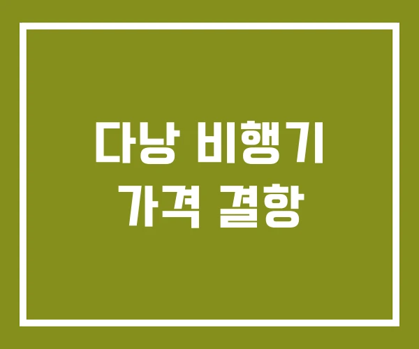 다낭 비행기 가격 결항
