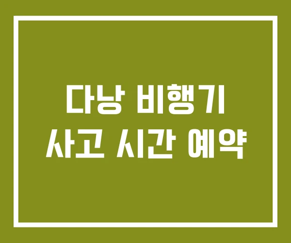 다낭 비행기 사고 시간 예약