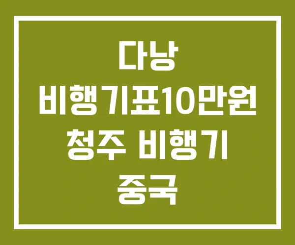다낭 비행기표10만원 청주 비행기 중국