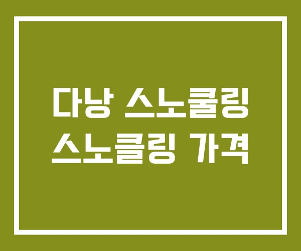 다낭 스노쿨링 스노클링 가격