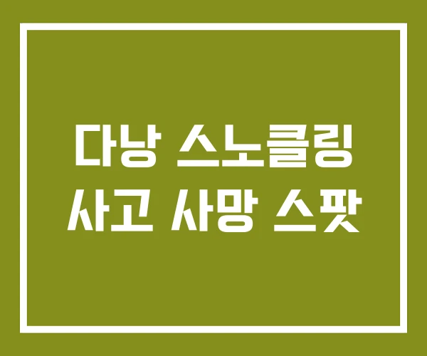다낭 스노클링 사고 사망 스팟