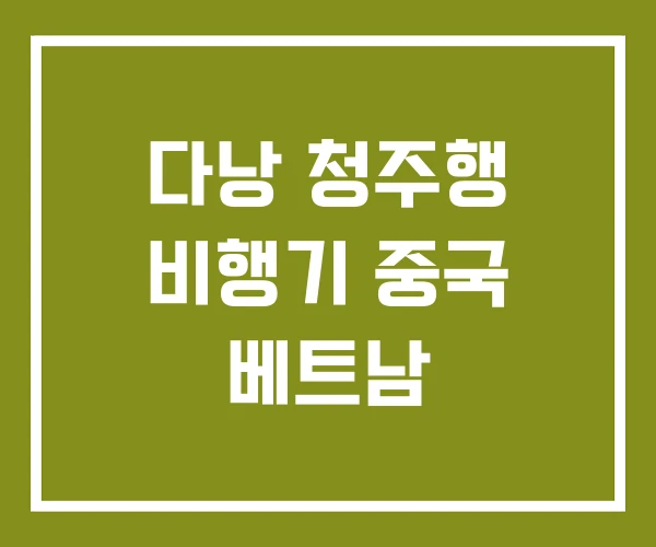 다낭 청주행 비행기 중국 베트남