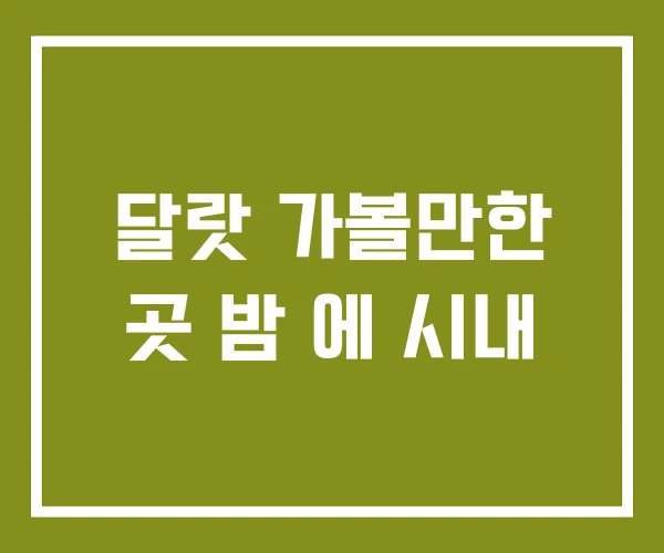 달랏 가볼만한 곳 밤 에 시내