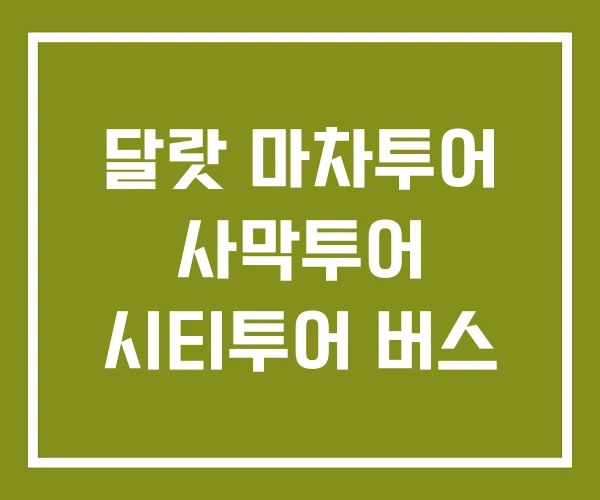 달랏 마차투어 사막투어 시티투어 버스 달랏 마차투어 사막투어 시티투어 버스