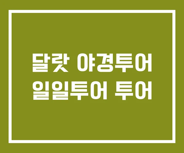 달랏 야경투어 일일투어 투어