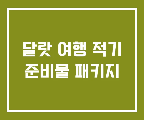 달랏 여행 적기 준비물 패키지