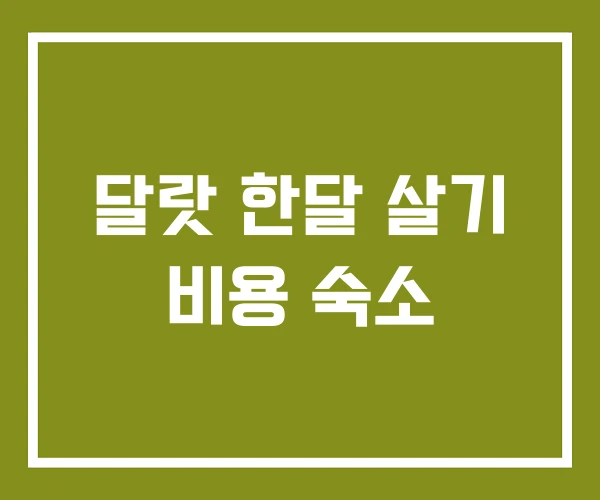 달랏 한달 살기 비용 숙소