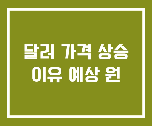 달러 가격 상승 이유 예상 원