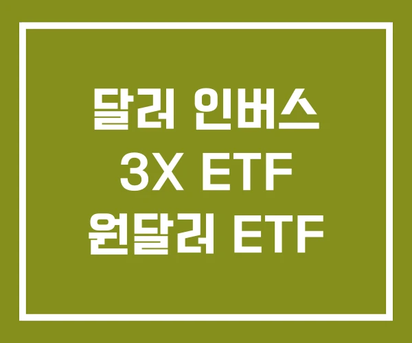 달러 인버스 3X ETF 원달러 ETF