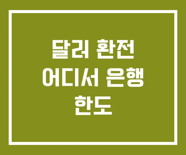 달러 환전 어디서 은행 한도