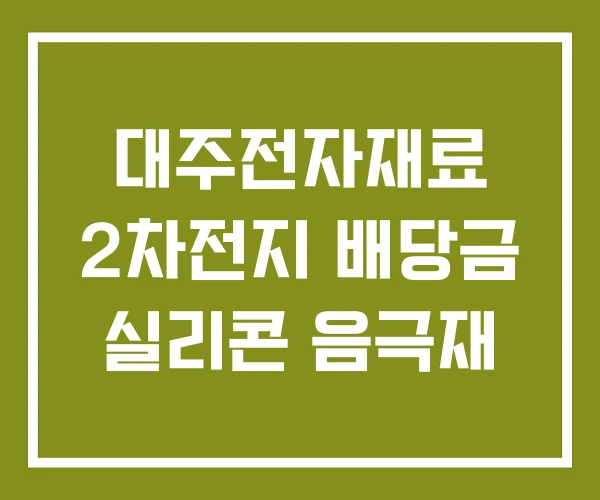 대주전자재료 2차전지 배당금 실리콘 음극재