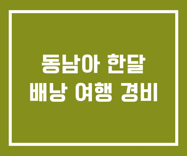 동남아 한달 배낭 여행 경비