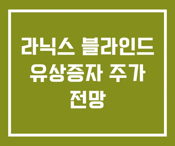 라닉스 블라인드 유상증자 주가 전망