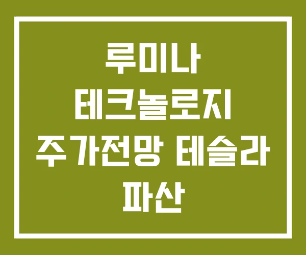 루미나 테크놀로지 주가전망 테슬라 파산