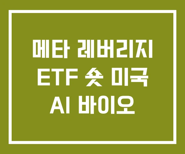 메타 레버리지 ETF 숏 미국 AI 바이오