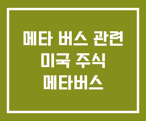 메타 버스 관련 미국 주식 메타버스