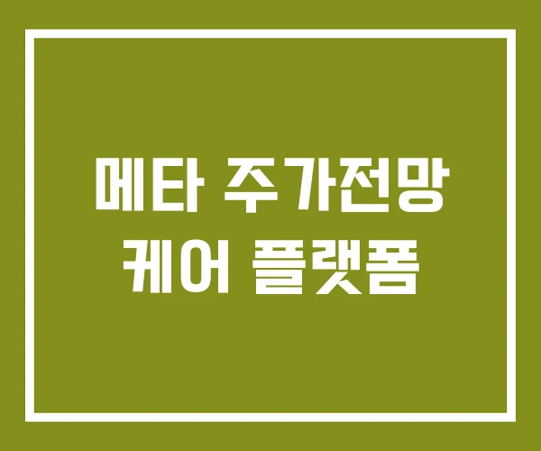 메타 주가전망 케어 플랫폼