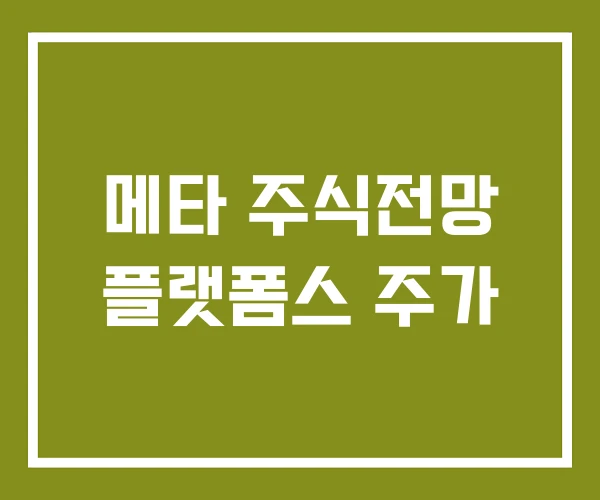 메타 주식전망 플랫폼스 주가