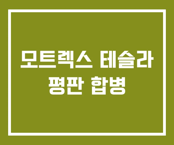 모트렉스 테슬라 평판 합병