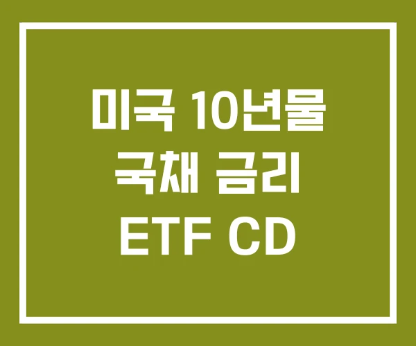 미국 10년물 국채 금리 ETF CD